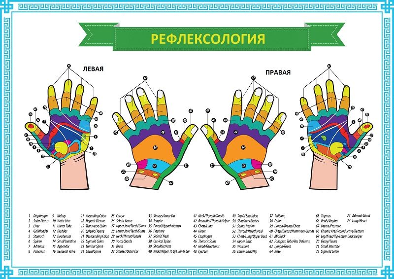 Точечный массаж руки схема